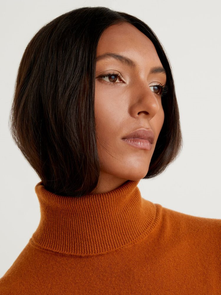 Brown Women's Benetton Pure Merino Wool Turtleneck High Neck Sweaters | AU958869