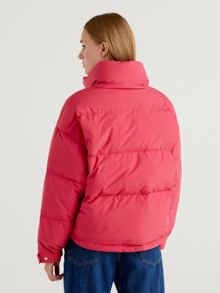 Cyclamen Women's Benetton Short Padded High Neck Puffer Jackets | AU953531