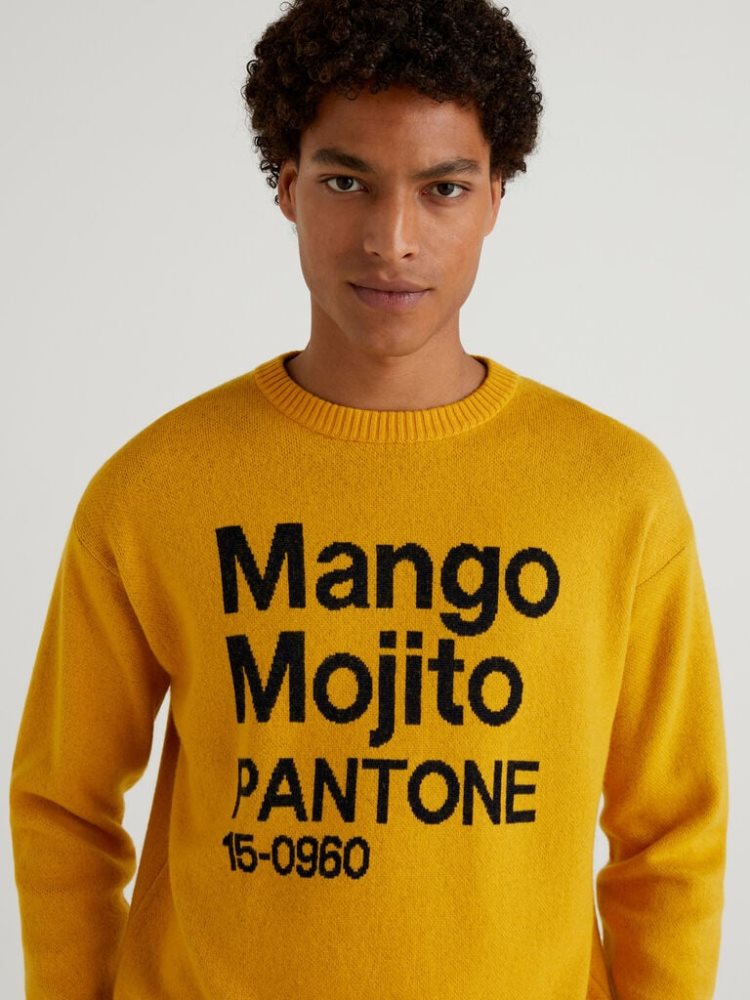 Yellow Men's Benetton Benettonxpantone™ Inlay Crew Neck Sweaters | AU842351